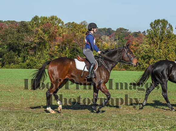 CheshirePC(10-18-20)0258