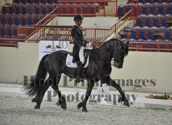 CWdressageI(8-20-16)1669