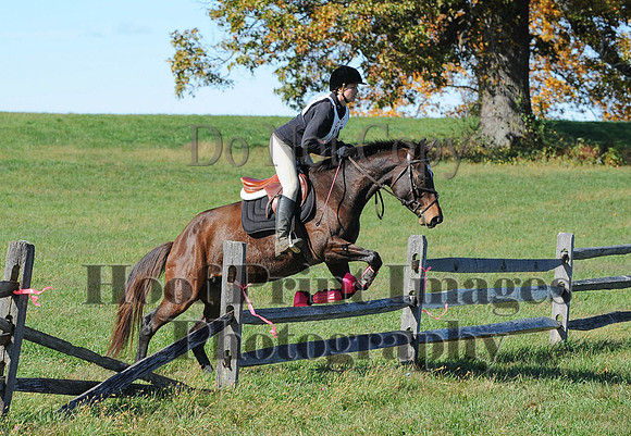Cheshire(10-19-14)0156