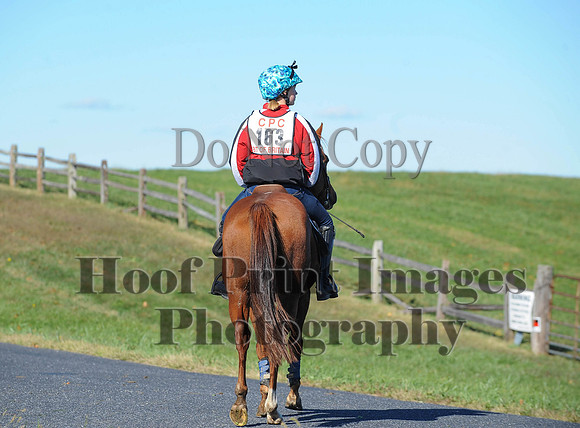 Cheshire(10-19-14)0333