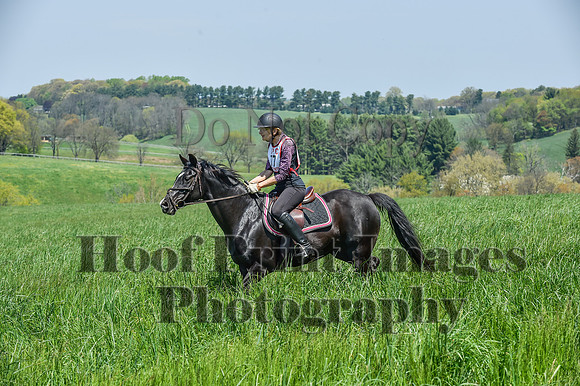 CheshireSpringPC1(4-28-24)0487