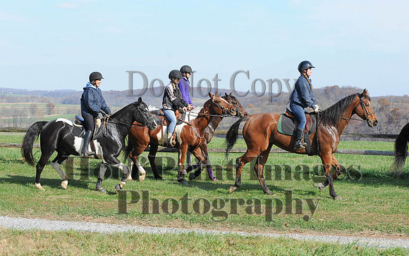 AndrewsBr(11-9-14)0109