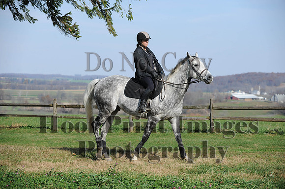 AndrewsBr(11-9-14)0207