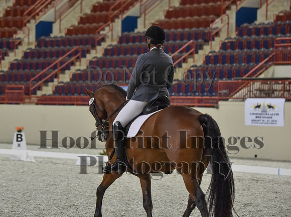 CWdressageI(8-20-16)0991