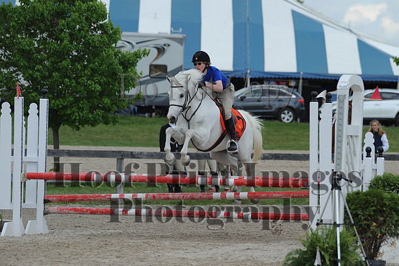 BRSa(5-17-14)0.8mJCl0022