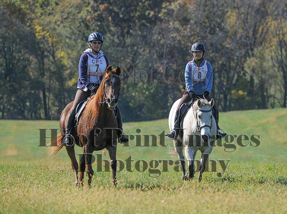 Cheshire(10-20-13)0221