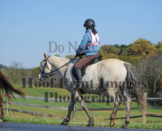 Cheshire(10-20-13)0227