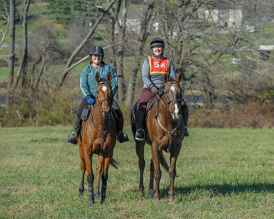 BHPC(11-15-15)0388
