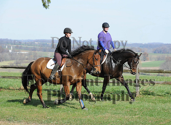 AndrewsBr(11-9-14)0124