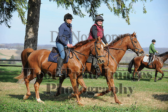 AndrewsBr(11-9-14)0177