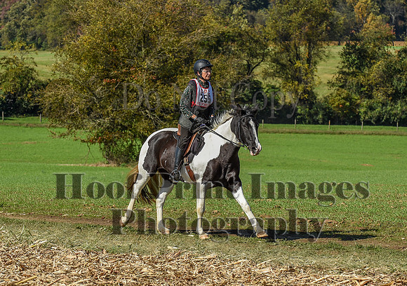 CheshirePC(10-18-20)0554
