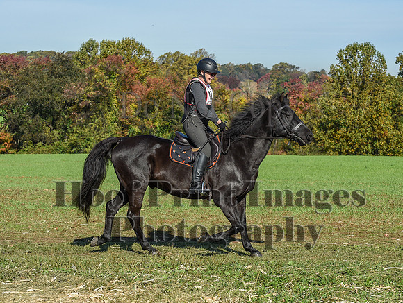 CheshirePC(10-18-20)0193