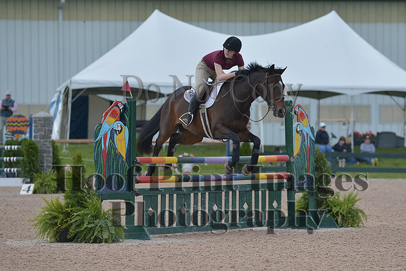 BRSa(5-17-14)HChAdJ0234