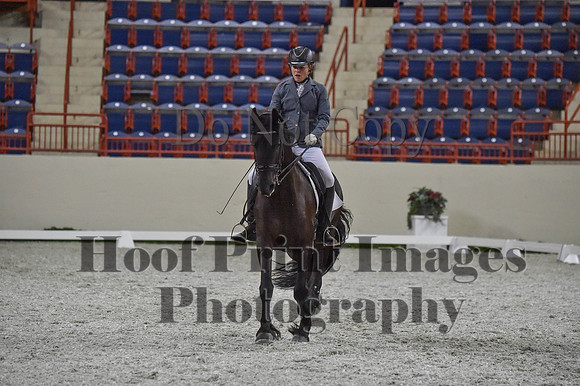 CWdressageI(8-20-16)1223