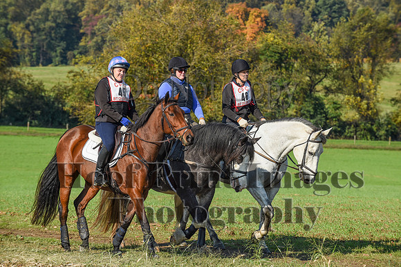 CheshirePC(10-18-20)0129
