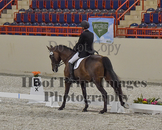 CWdressageII(8-21-16)0367