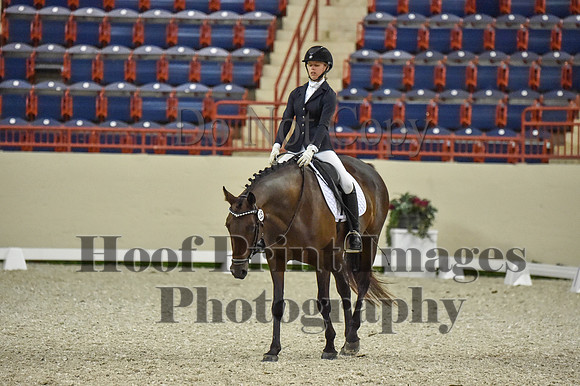 CWdressageI(8-20-16)0625