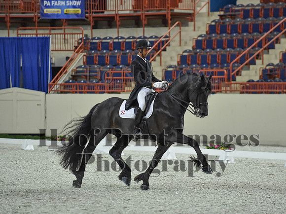 CWdressageI(8-20-16)1663