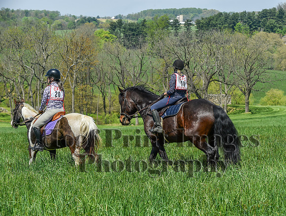 CheshireSpringPC1(4-28-24)0196