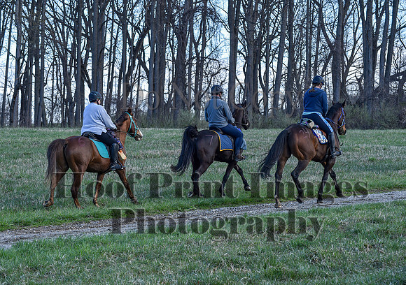 ChesapeakeSpring(4-10-22)0397
