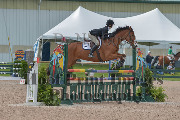 BRSa(5-17-14)HChAdJ0196