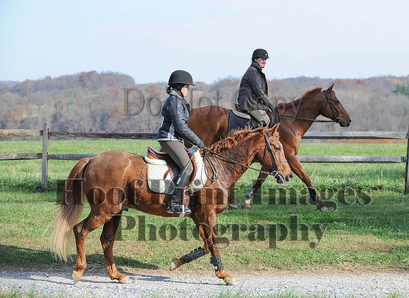 AndrewsBr(11-9-14)0088