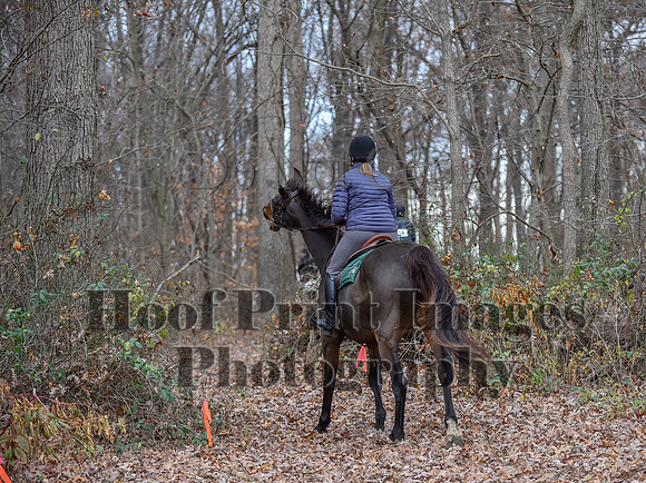 AndrewsBrHuntPace(11-10-24)0153