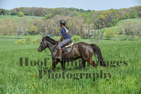 CheshireSpringPC1(4-28-24)0165