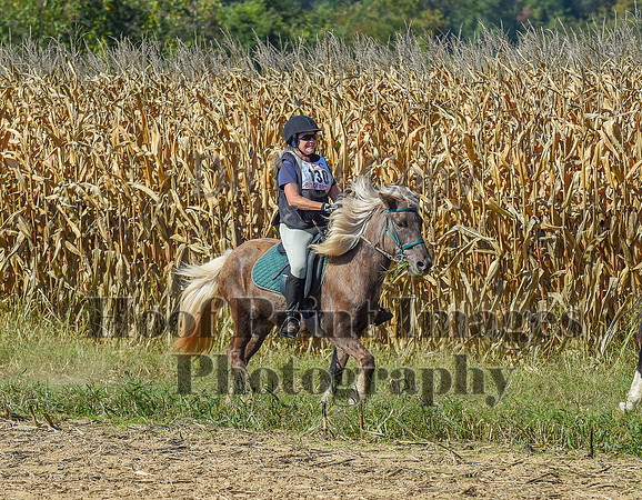CheshirePonyClubPC(10-6-24)0544