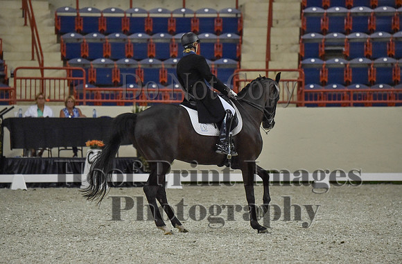 CWdressageI(8-20-16)0695