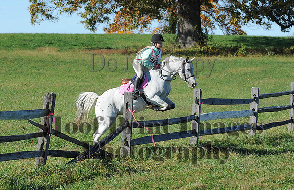 Cheshire(10-19-14)0482