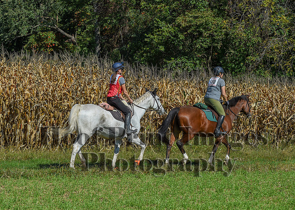 CheshirePonyClubPC(10-6-24)0409