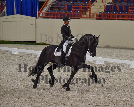 CWdressageII(8-21-16)0602