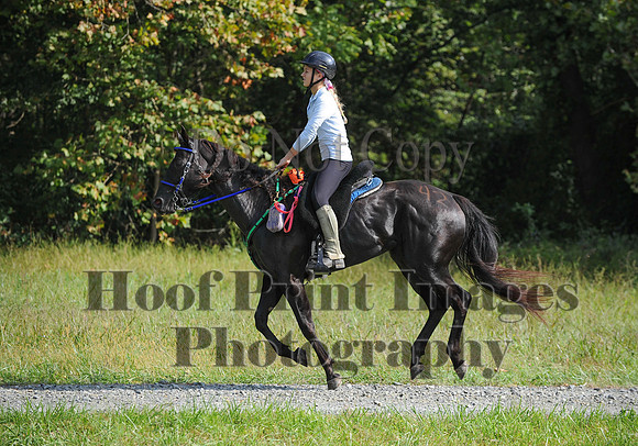 ChesapeakeCTR(9-20-14)0310