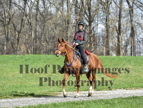 ChesapeakeSpring(4-10-22)0552