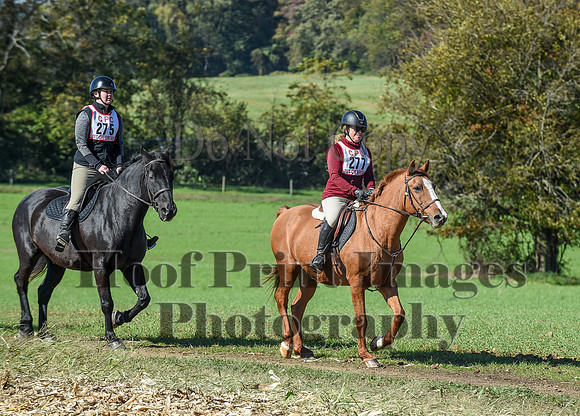 CheshirePC(10-18-20)0601