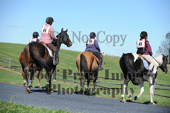 Cheshire(10-19-14)0136
