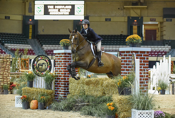MHSAHtStFinH(9-12-14)0035
