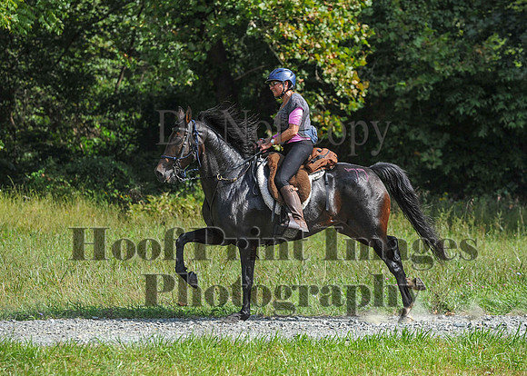 ChesapeakeCTR(9-20-14)0578
