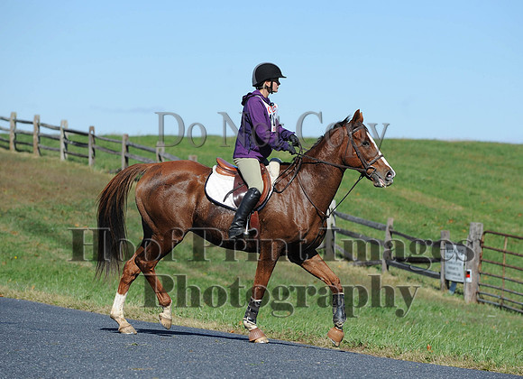 Cheshire(10-19-14)0043