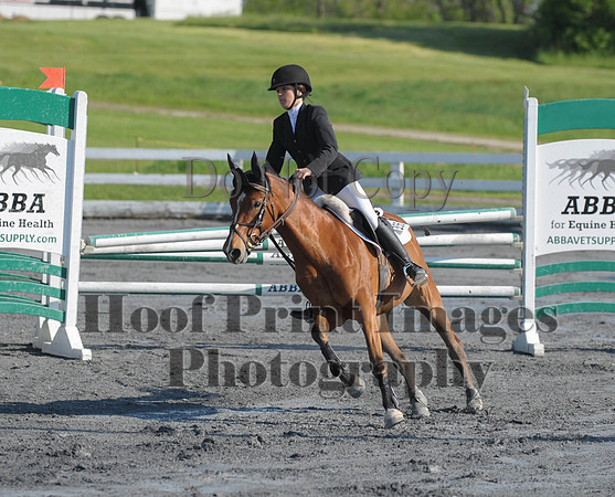 StCSu(5-12-13)PJmp0070