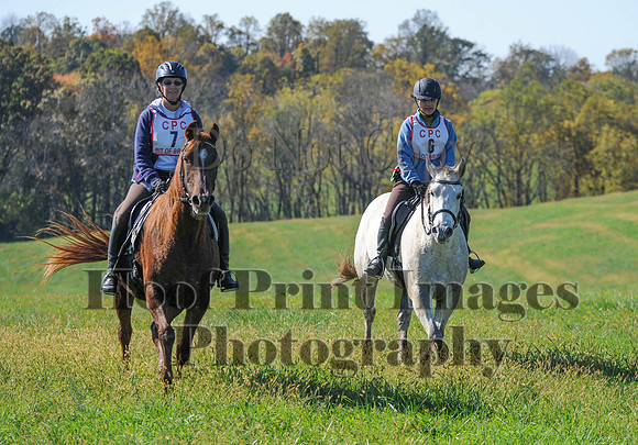 Cheshire(10-20-13)0222