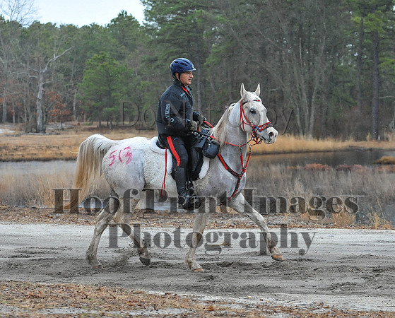 Rabbit(3-29-14)0133