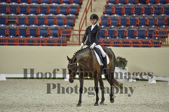 CWdressageI(8-20-16)0624
