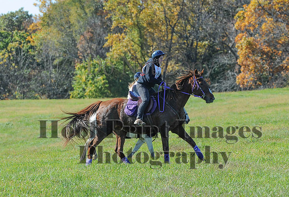 Cheshire(10-19-14)0267
