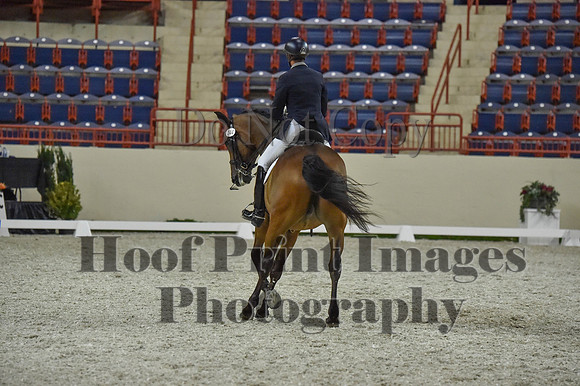 CWdressageI(8-20-16)1371
