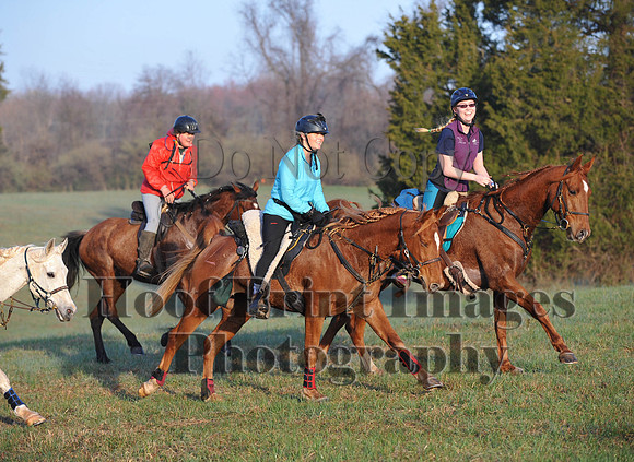 Foxcatcher(4-12-14)0411