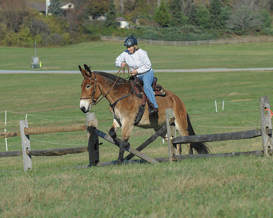 BHPC(11-15-15)0516