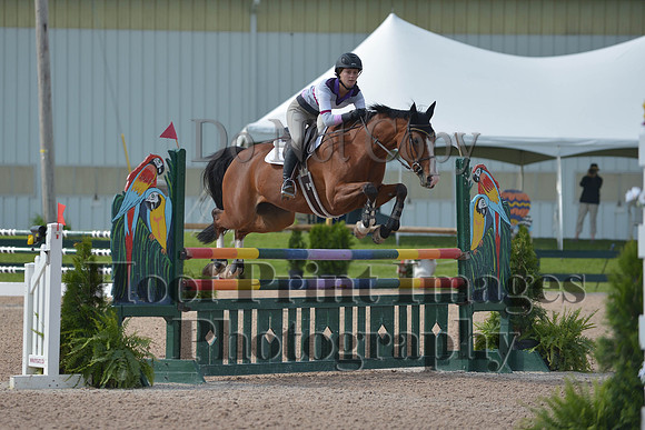 BRSa(5-17-14)HChAdJ0056