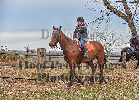 AndrewsBrHuntPace(11-10-24)0231